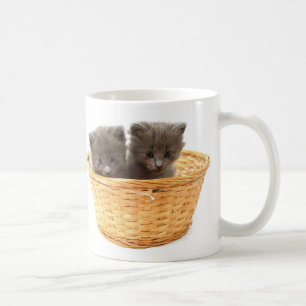 Taza De Café gatitos
