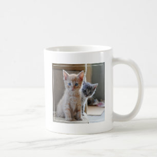 Taza De Café Gatitos curiosos