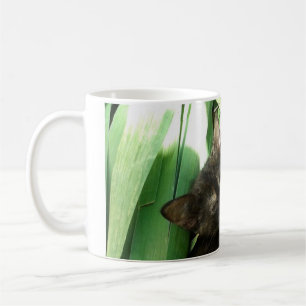 Taza De Café Gatitos lindos acurrucados