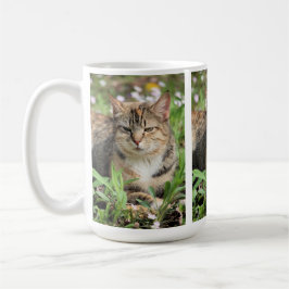 Taza De Café Gato