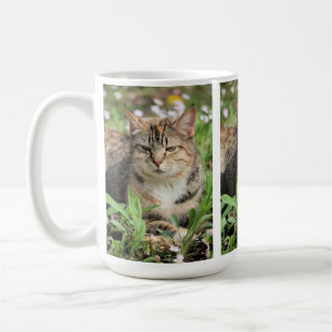 Taza De Café Gato