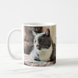 Taza De Café Gato