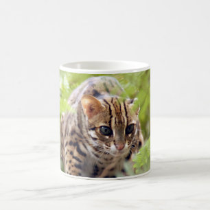 Taza De Café Gato 004 de Bengala