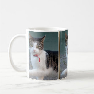 Taza De Café Gato Agitar manos CC0244 Café Mug