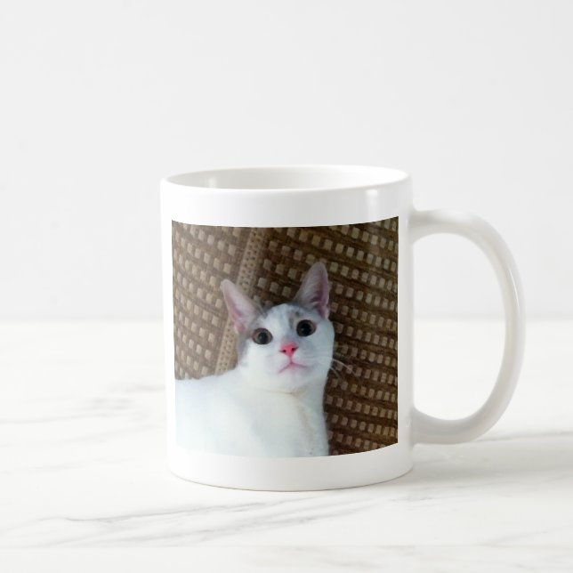 Taza De Café Gato blanco sorprendido (Derecha)