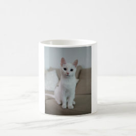 Taza De Café Gato blanco | Zazzle_Growshop.