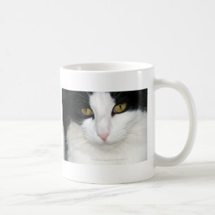 Taza De Café Gato con los ojos de oro