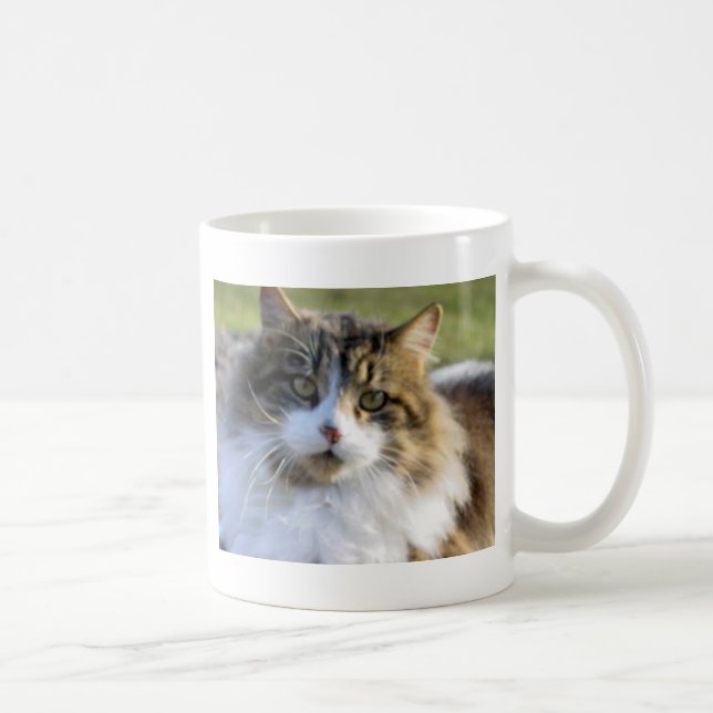 Taza De Café Gato de Coon de Maine (Derecha)