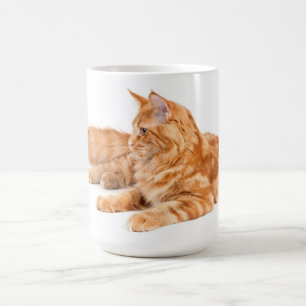 Taza De Café Gato de Coon de Maine