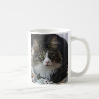 Taza De Café Gato de la boa