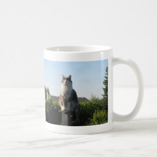 Taza De Café Gato de ojos cruzados y Lucas 1: 78-79