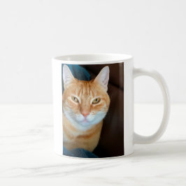 Taza De Café Gato de tabby anaranjado