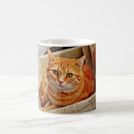 Taza De Café Gato de Tabby anaranjado