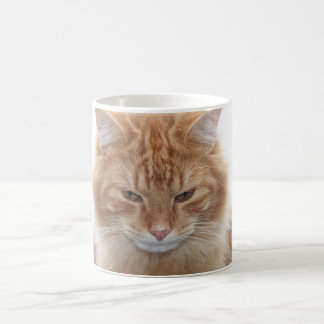 Taza De Café Gato de Tabby anaranjado