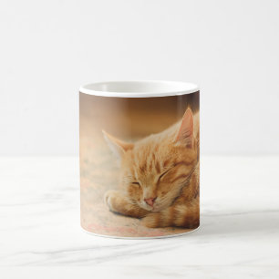 Taza De Café Gato de Tabby anaranjado el dormir