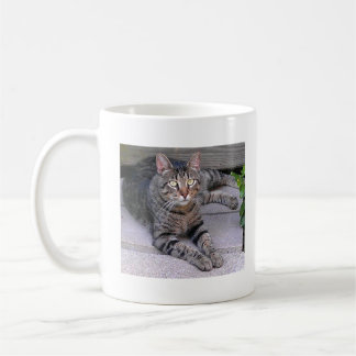 Taza De Café Gato de Tabby de Brown al aire libre