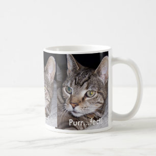 Taza De Café Gato de tabla