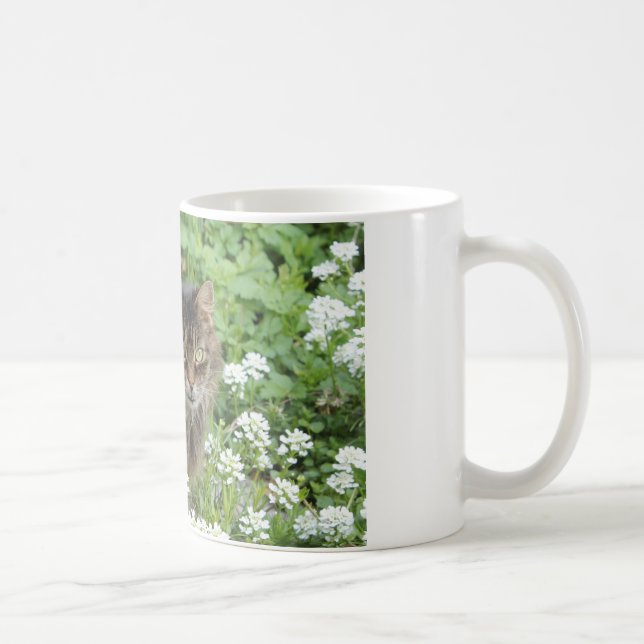 Taza De Café Gato doméstico de larga duración (Derecha)