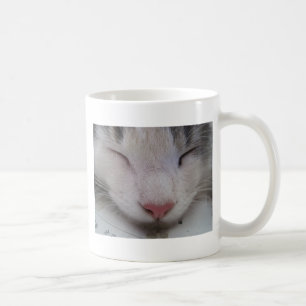 Taza De Café Gato dormido