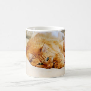 Taza De Café Gato dulce Naranja