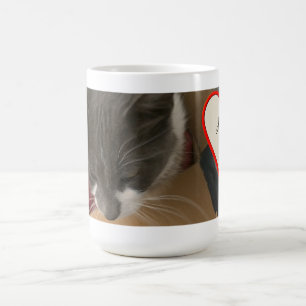 Taza De Café Gato en la caja