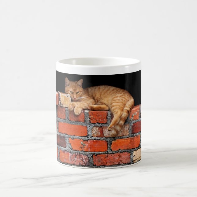 Taza De Café Gato en pared de ladrillos (Centro)