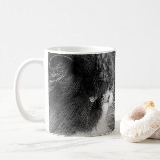 Taza De Café Gato fotográfico personalizado