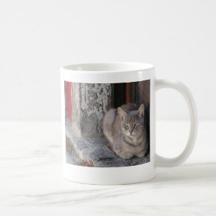 Taza De Café Gato gris