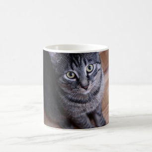 Taza De Café Gato gris adorable