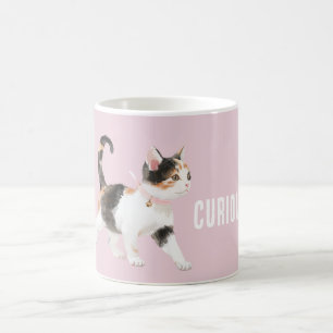 Taza De Café Gato Naranja Negro Blanco