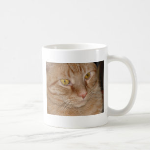 Taza De Café Gato Naranja tabby