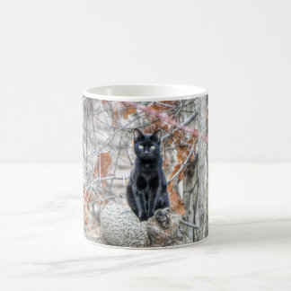 Taza De Café Gato Negro Sentado al Aire Libre