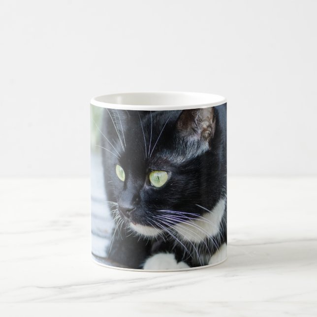 Taza De Café Gato negro y blanco de tuxedo (Centro)