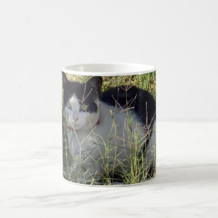 Taza De Café Gato Negro Y Blanco En El Jardín,