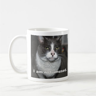 Taza De Café Gato No Estoy Divertido