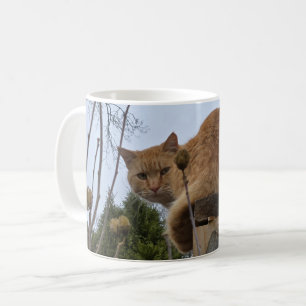 Taza De Café Gato pelirrojo