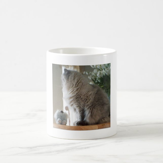 Taza De Café Gato persa del Himalaya (Centro)