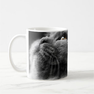 Taza De Café Gato persa gris