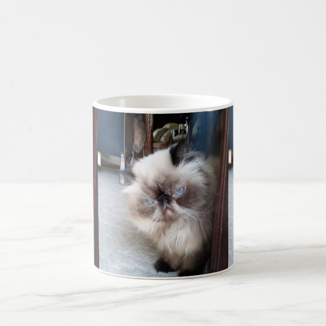 Taza De Café Gato persa Himalayan adorable (Centro)