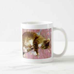 Taza De Café Gato real, gato falso