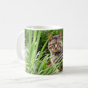 Taza De Café Gato sentado en una tabla de fotos en la hierba