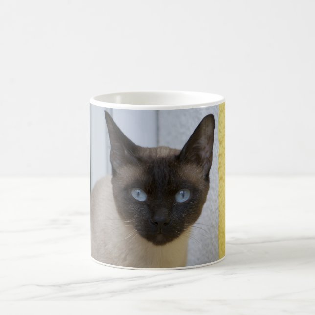 Taza De Café Gato siamés del punto hermoso del sello (Centro)