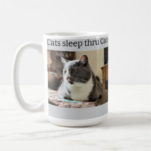 Taza De Café Gato somnoliento