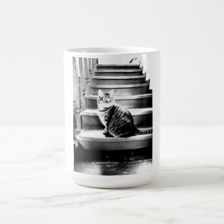 Taza De Café Gato y las escaleras