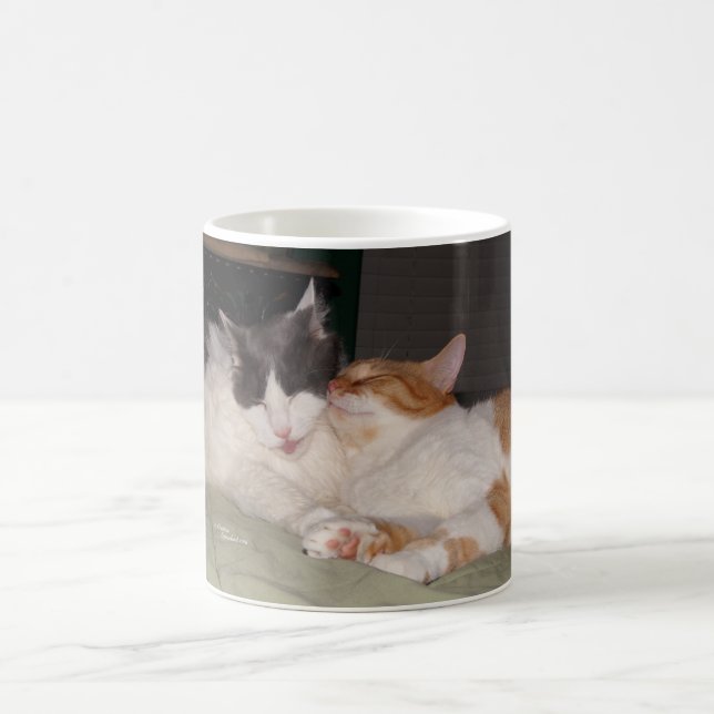 Taza De Café Gatos cortos durmiendo gatos gobiernan el tazón (Centro)