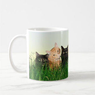 Taza De Café Gatos del gatito en la hierba