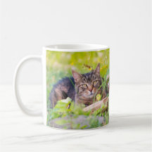 Gatos del granero - Café Elle y Mew Mug