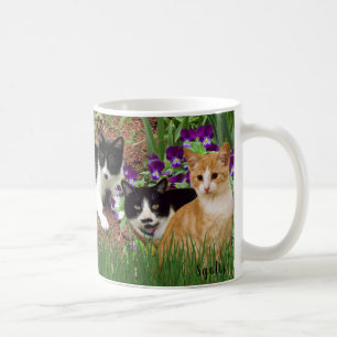 Taza De Café Gatos en el jardín de flores / Café de Collage de