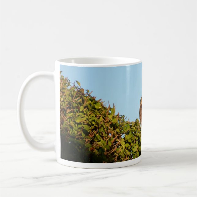 Taza De Café Gavilán (Izquierda)