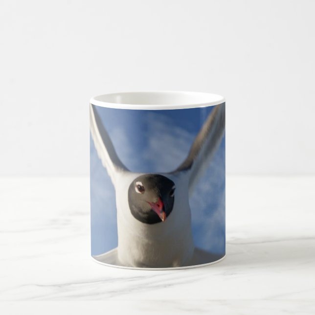 Taza De Café Gaviota (Centro)